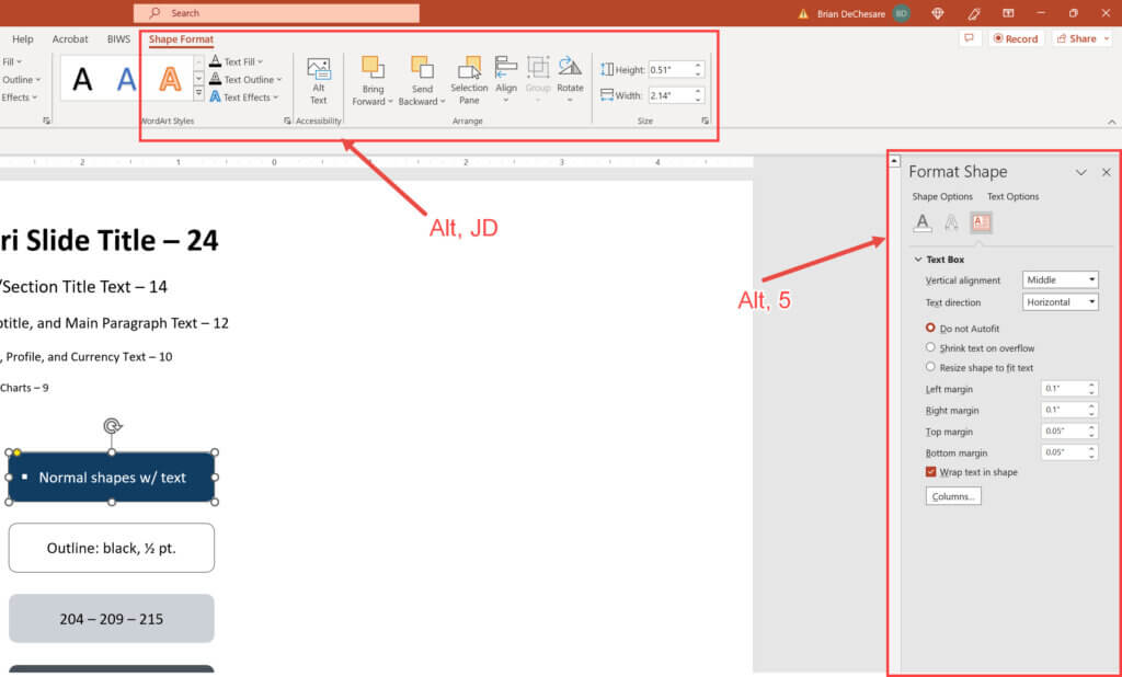 Formatting Shape Options in PowerPoint Formatting Shape Options in PowerPoint